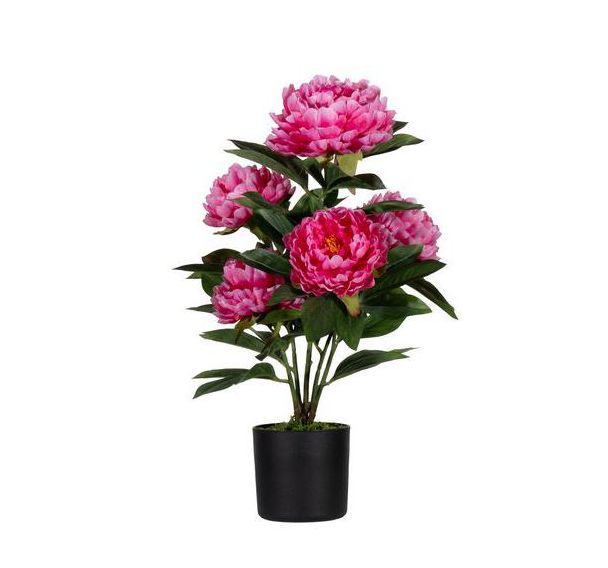 Fleur artificielle Pivoine rose 55 cm-