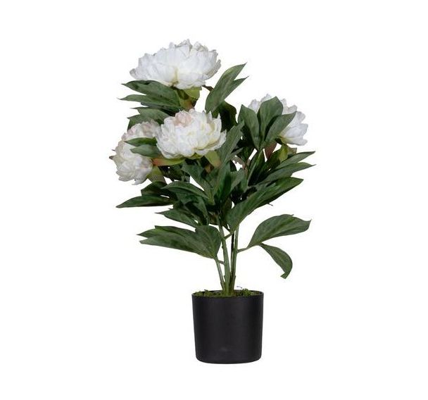 Fleur artificielle pivoine blanche 55 cm-Meet By Paperflow