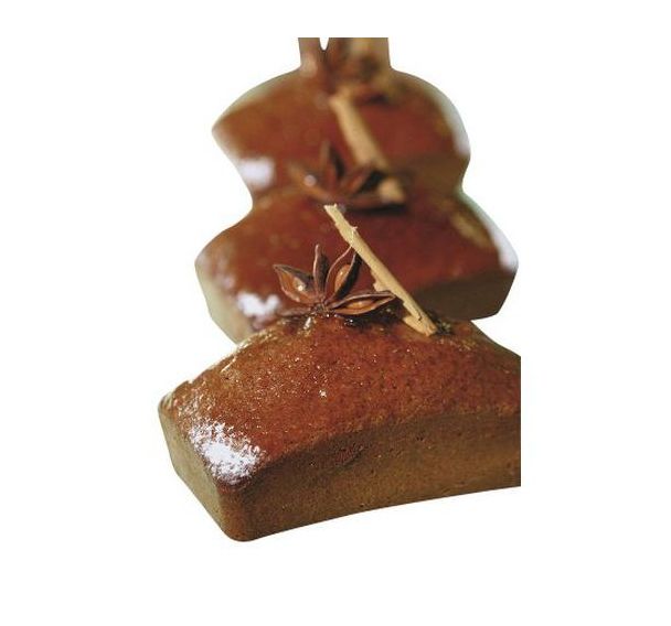 Flexipan GN 1/1 lingots 16 empreintes