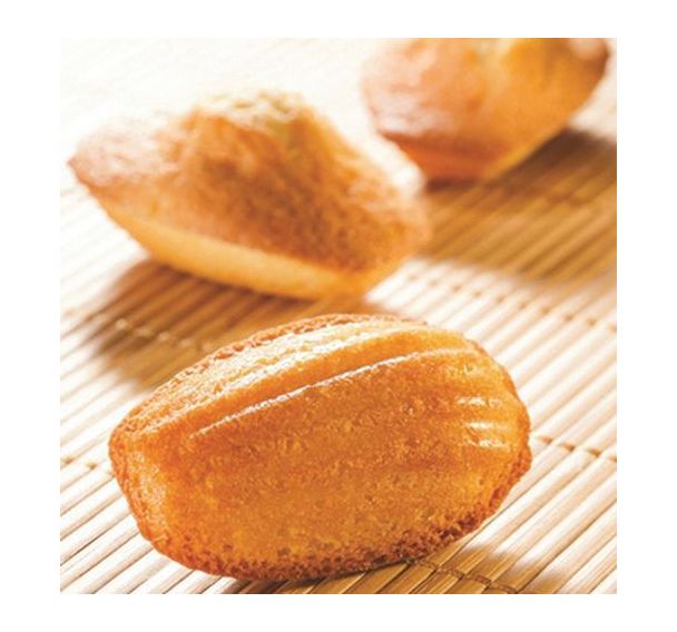 Flexipan GN 1/1 madeleines 27 empreintes