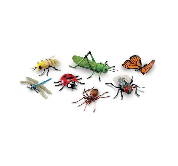 Insectes géants