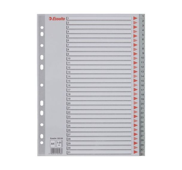 Intercalaire A4 - polypropylène - Gris - Esselte