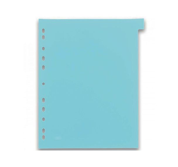 Intercalaires neutres Oxford Color Life A4+ 12 Positions Polypro Translucide Epaisseur 30/100ème Coloris Assortis