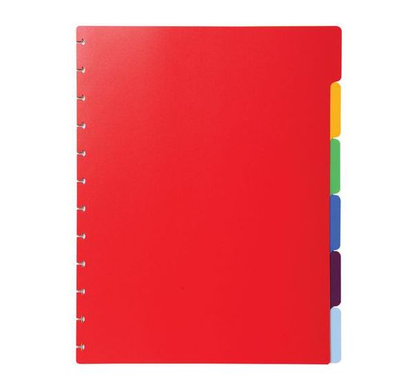 Intercalaires polypropylènes couleurs pour porte-vues à anneaux