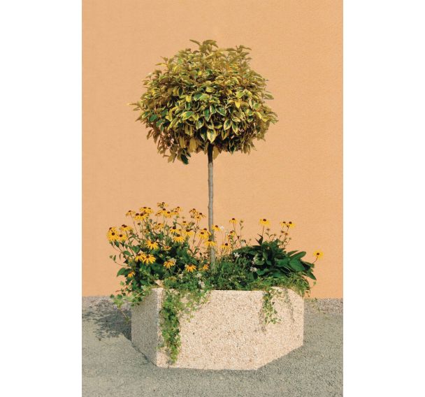 Jardinière Byblos hexagonale 150 x 112 x 55 cm beige - ciment blanc