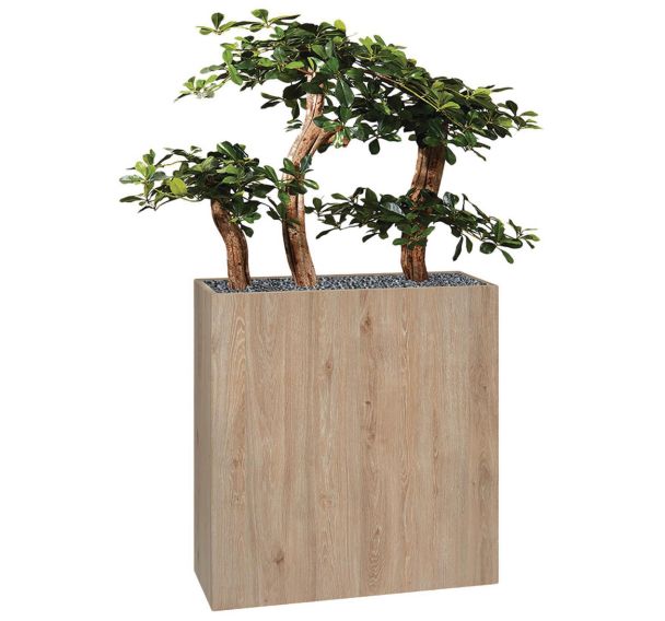 Jardinière bois BOSCO Bonzaî