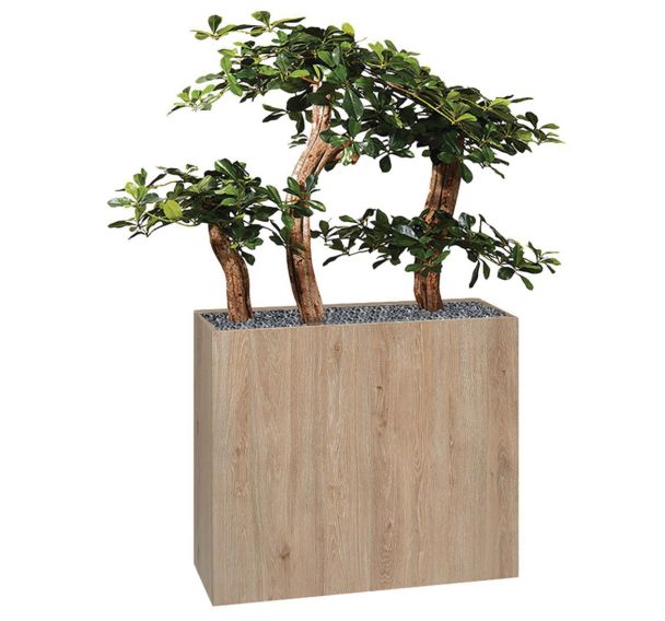 Jardinière bois BOSCO mobile Bonzaî