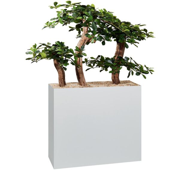 Jardinière métal sur patins hauteur 74 cm Bonzaï