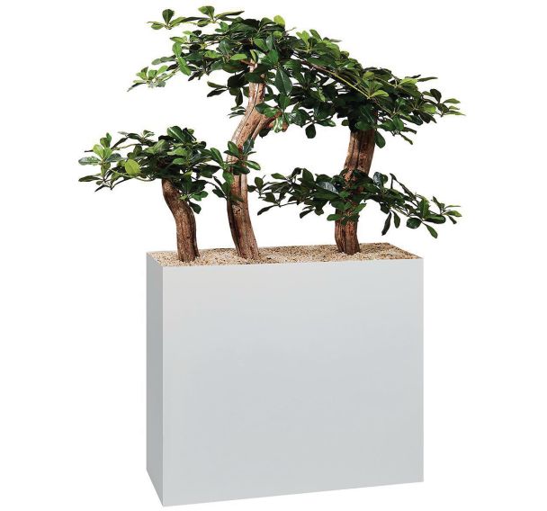Jardinière métal sur roulettes hauteur 74 cm Bonzaï
