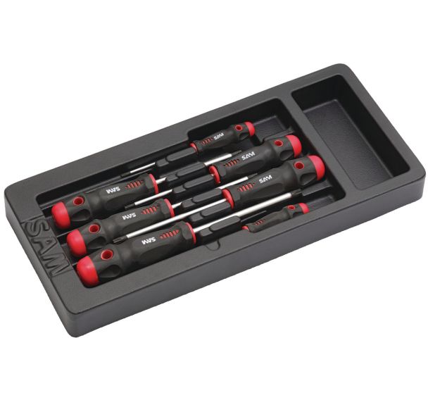 Jeu de 7 tournevis torx vendus en module abs