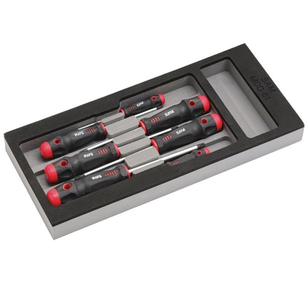 Jeu de 7 tournevis torx vendus en module mousse