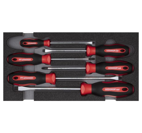 Jeu de vis PZ SL 2/6 CT module 6 pcs.