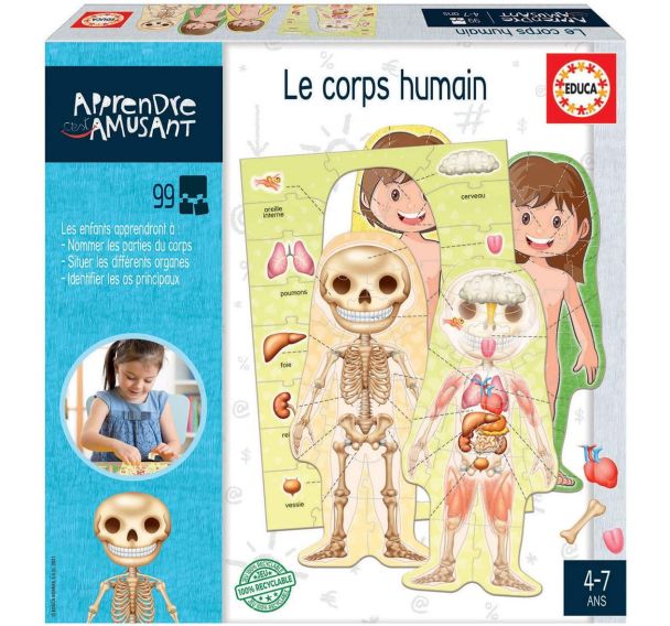 Jeu le corps humain