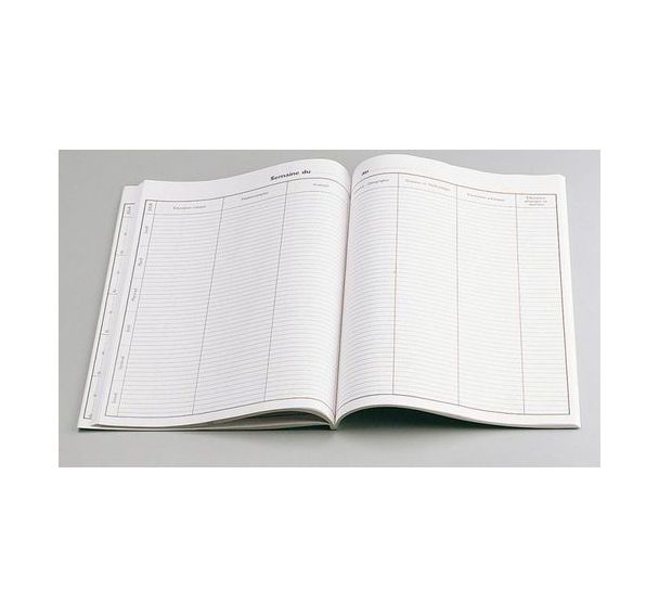 Journal de classe 21x29.7 cm 100 pages réf P2