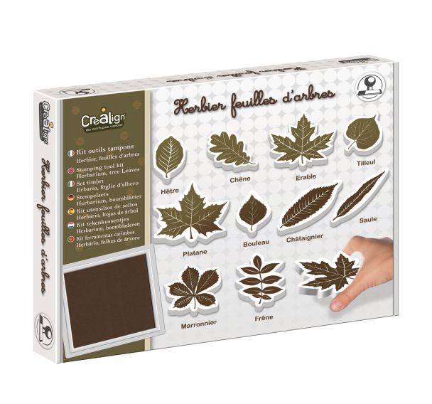 Kit de 10 tampons feuilles herbier + 1 encreur