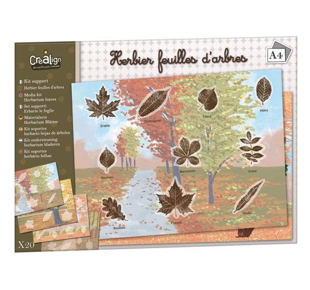 Kit de 20 feuilles 21x29,7 cm herbier