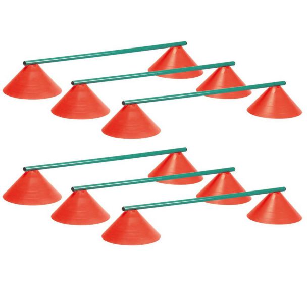 Lot de 6 mini-haies 15cm multi-marker geant