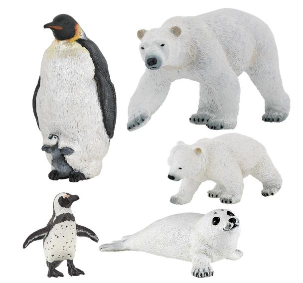 La famille polaire