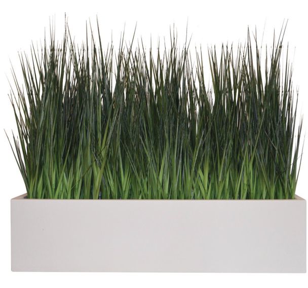 La jardinière graminée
