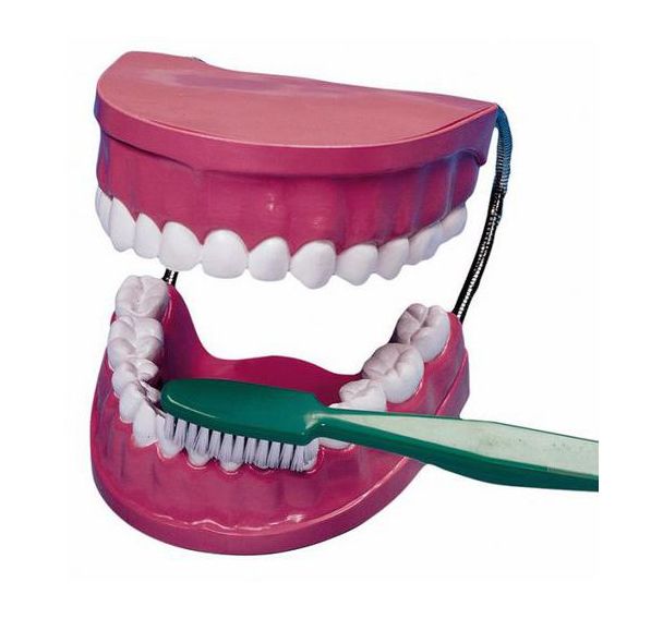 La mâchoire géante