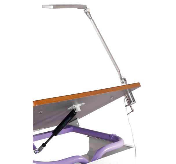 Lampe Led basse vision noire