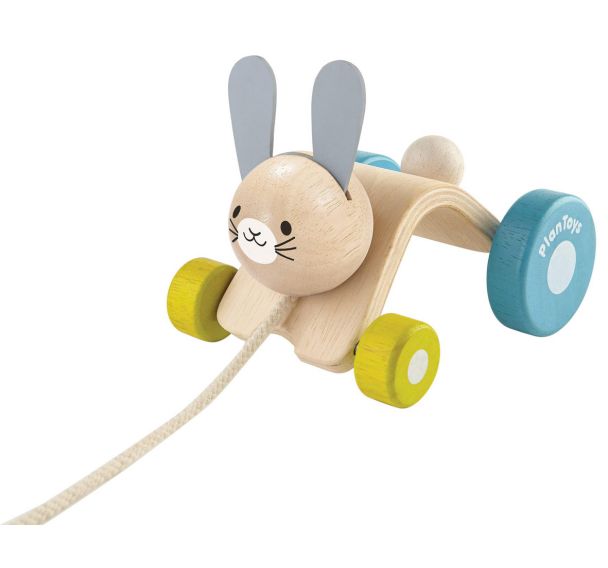Lapin sautillant