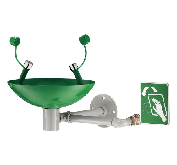 Laveur d'yeux de sécurité mural vasque en inox