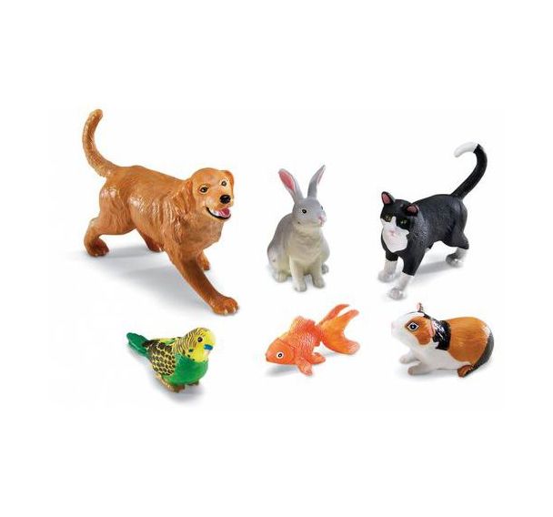 Les animaux de compagnie grande taille