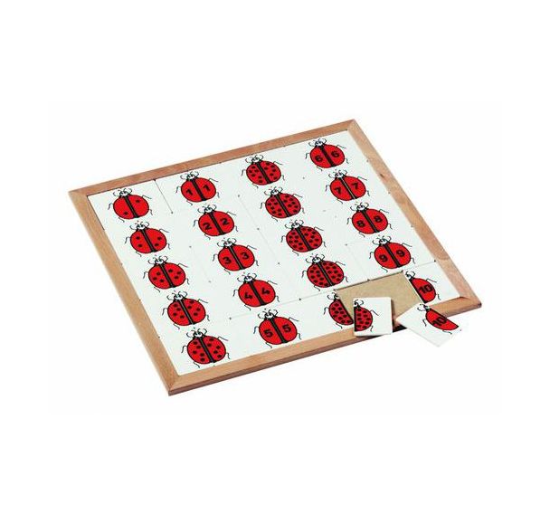 Les coccinelles à compter