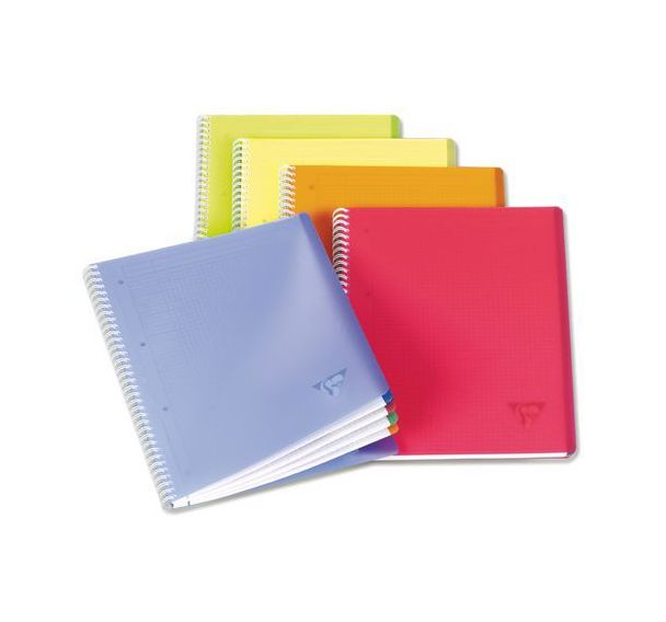 Linicolor cahier reliure intégrale 22,5x29,7cm 160p 4 couleurs de bandes Q.5x5 cadré assortiment FRESH