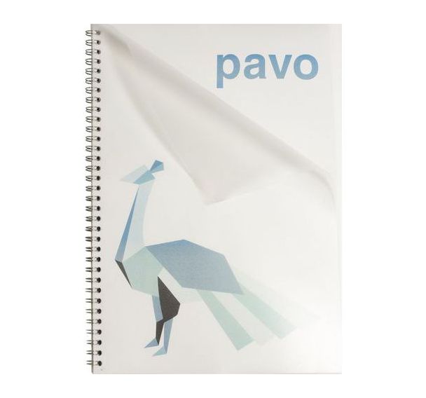 Lot de 100 Couverture de reliure PP A4 280 µm transparente - Pavo
