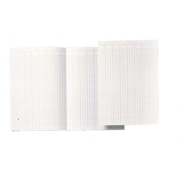 Lot de 100 Feuillet de comptabilité A4 14 colonne 100 feuilles: blanc
