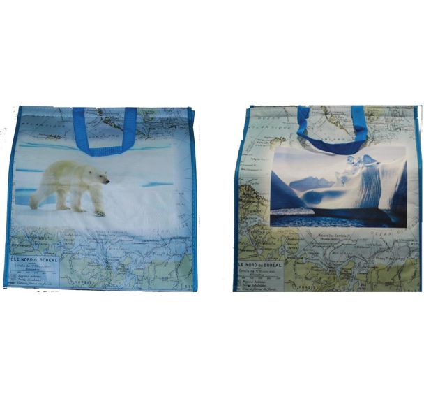 Lot de 100 Sac tissé isotherme - décor polaire - 380/190X400mm