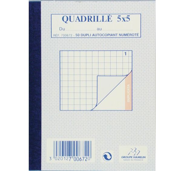 Lot de 10 Bloc-notes quadrillé 5/5 dupli A6 100 pages