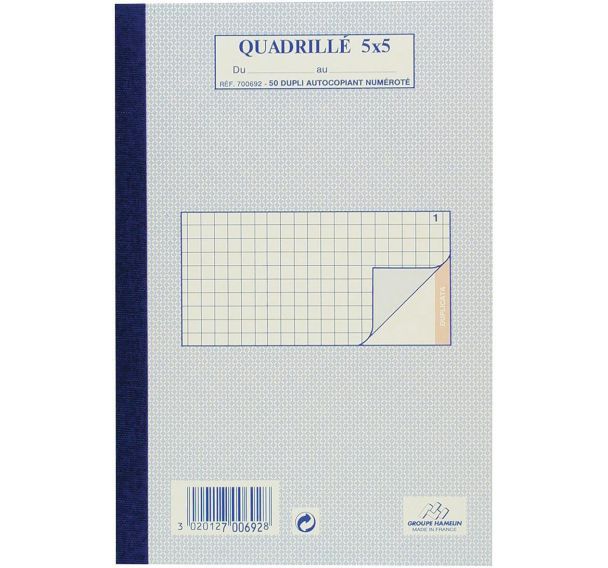 Lot de 10 Bloc-notes quadrillé 5/5 dupli a5 100 pages