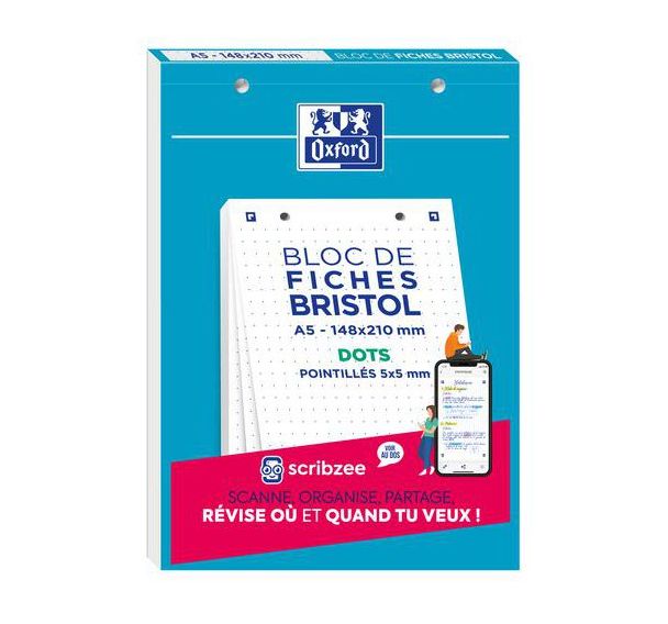 Lot de 10 Bloc bristol Oxford 148x210 30 fiches perforees point blanc