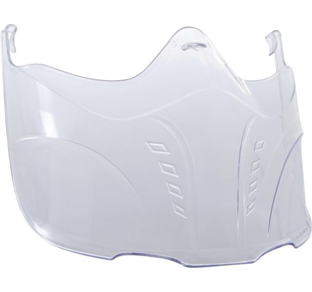 Lot de 10 Ecran de protection adaptable sur evaguard