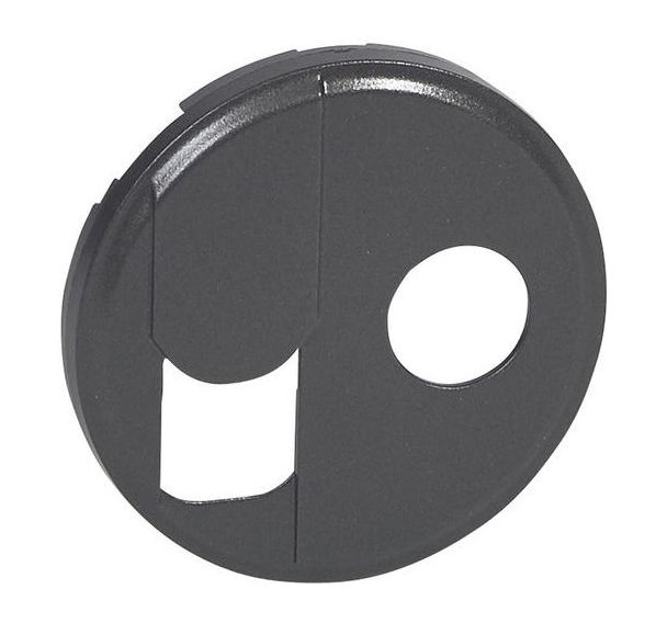 Lot de 10 Enjoliveur en thermoplastique graphite