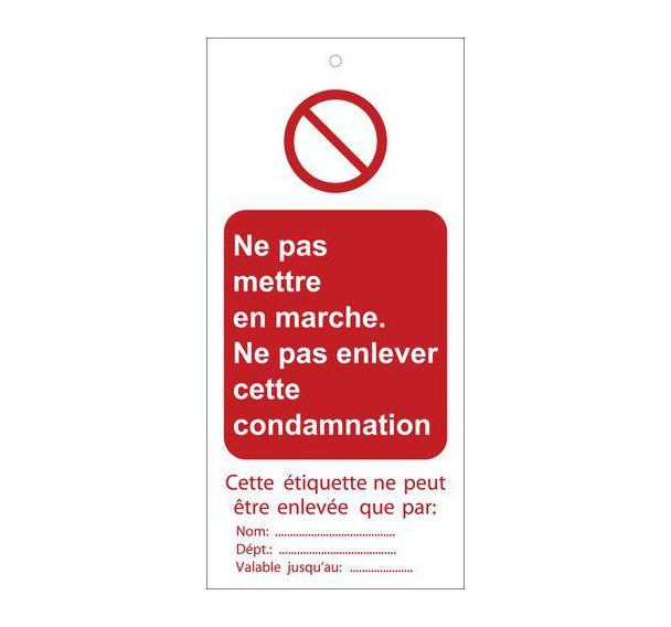Lot de 10 Etiquettes polyester avec attaches