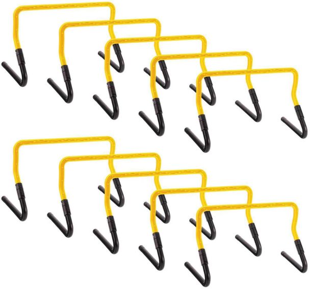 Lot de 10 haies dinitiation 2 hauteurs possibles