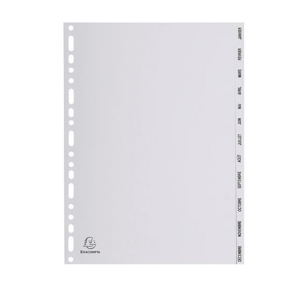 Lot de 10 Intercalaires mensuels pp gris janvier-déc. 12 positions A4