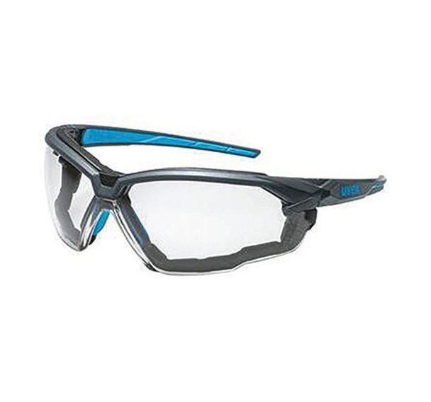 Lot de 10 Lunettes avec armature SuXXeed - Bleu