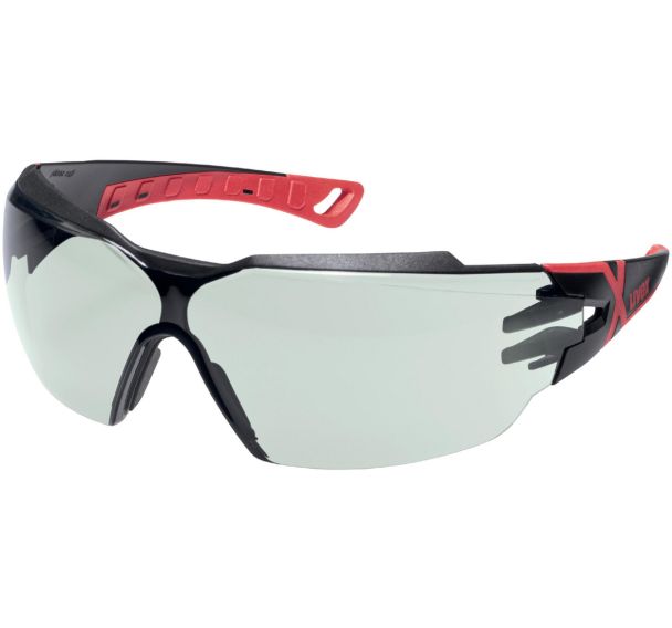 Lot de 10 Lunettes de protection Pheos CX2 Infrarouge