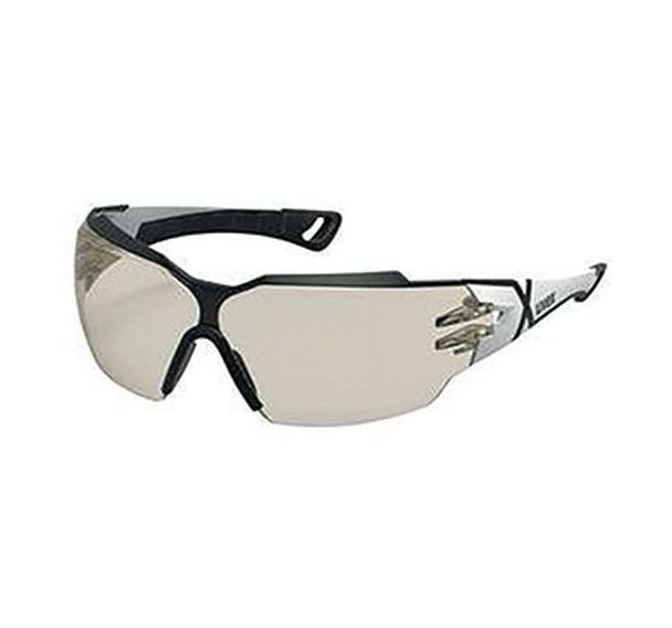 Lot de 10 Lunettes de protection Pheos Cx2 CBR65