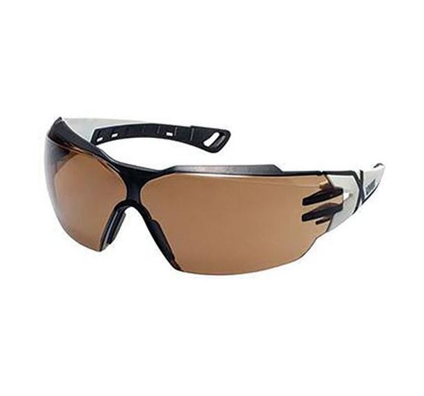 Lot de 10 Lunettes de protection solaire CBR23 Pheos Cx2