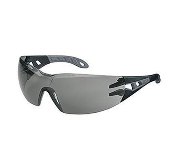 Lot de 10 Lunettes de protection solaire Excellence Pheos - Gris