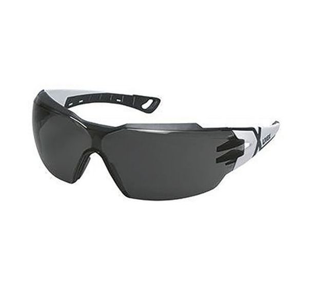 Lot de 10 Lunettes oculaire gris Pheos Cx2 - Blanc/Noir