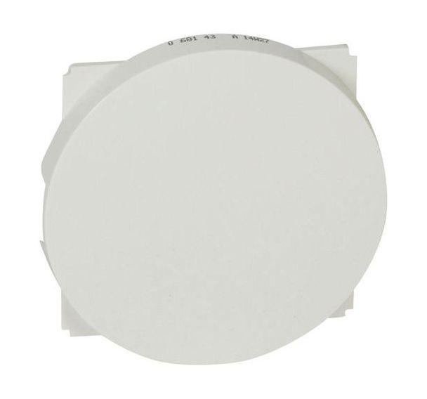 Lot de 10 Obturateurs Blanc