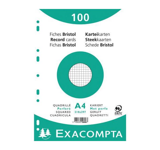Lot de 10 Paquet 100 fiches sous film quadrillé perforé 210x297mm