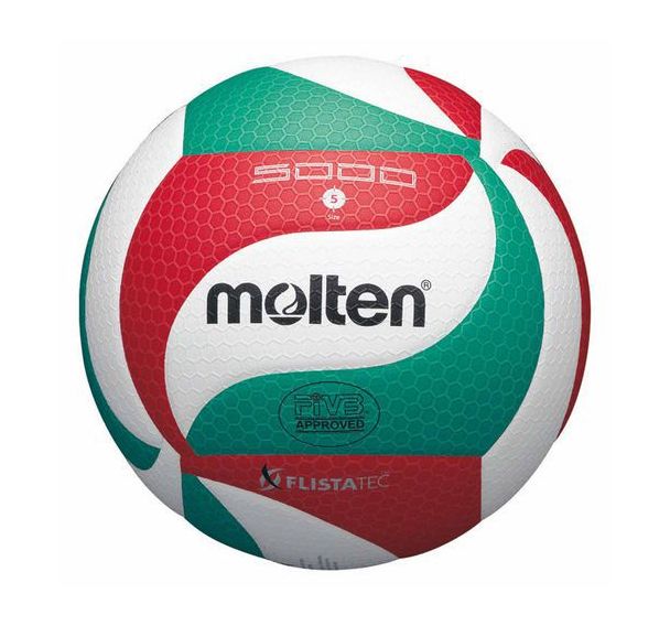 Lot de 10 ballons de volley Molten V5M5000 + sac de rangement